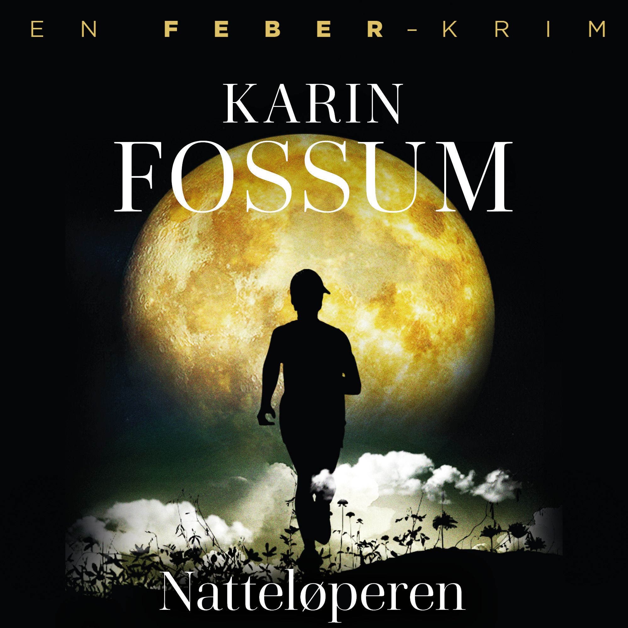 Natteløperen - roman