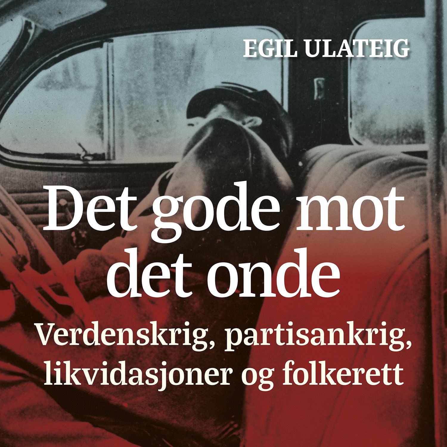 De gode mot de onde - verdenskrig, partisankrig, likvidasjoner og folkerett