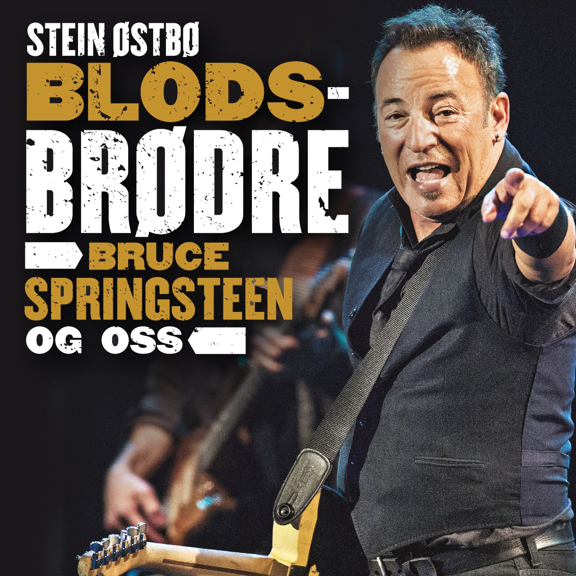 Blodsbrødre - Bruce Springsteen og oss
