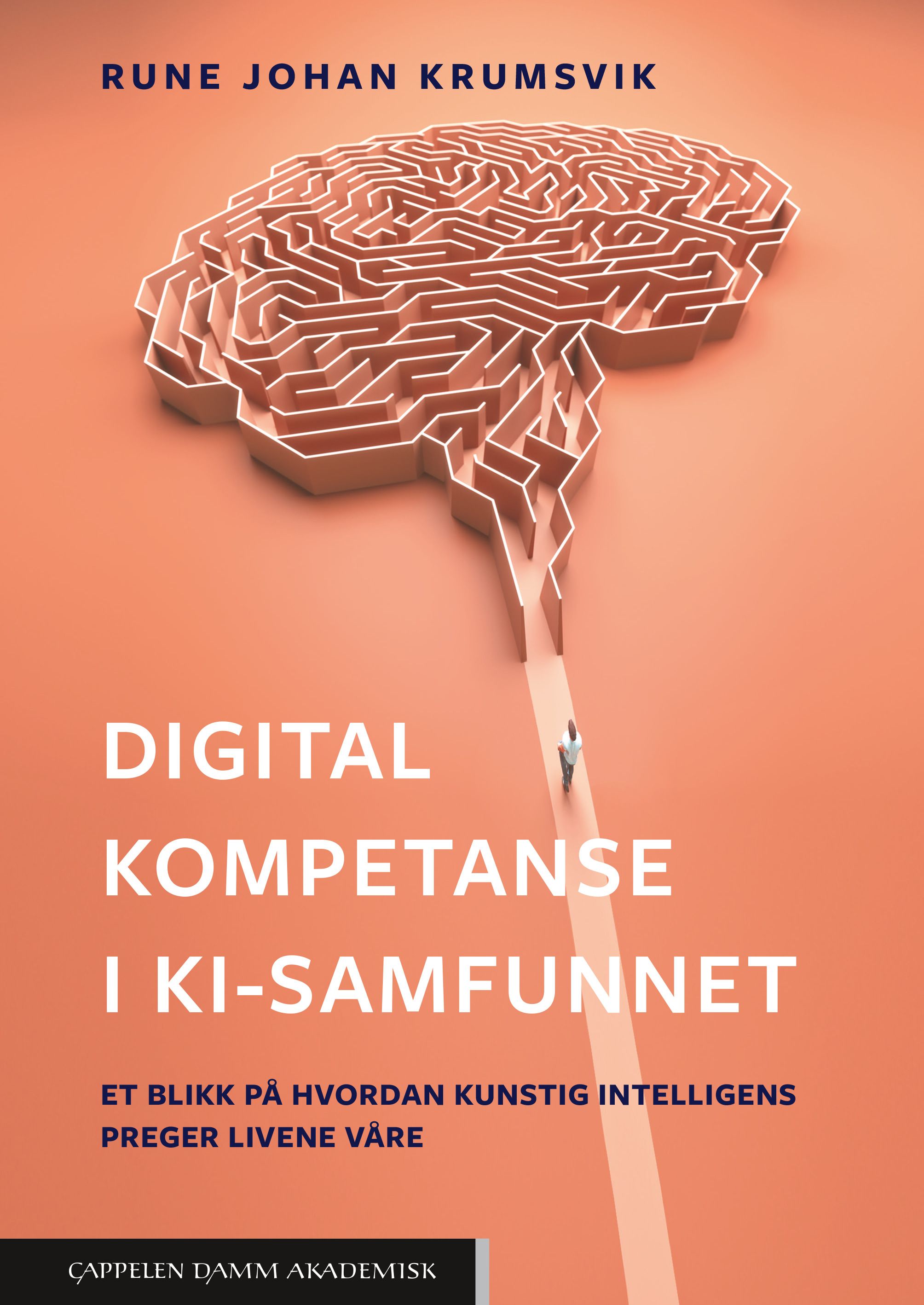 Digital kompetanse i KI-samfunnet - et blikk på hvordan kunstig intelligens preger livene våre