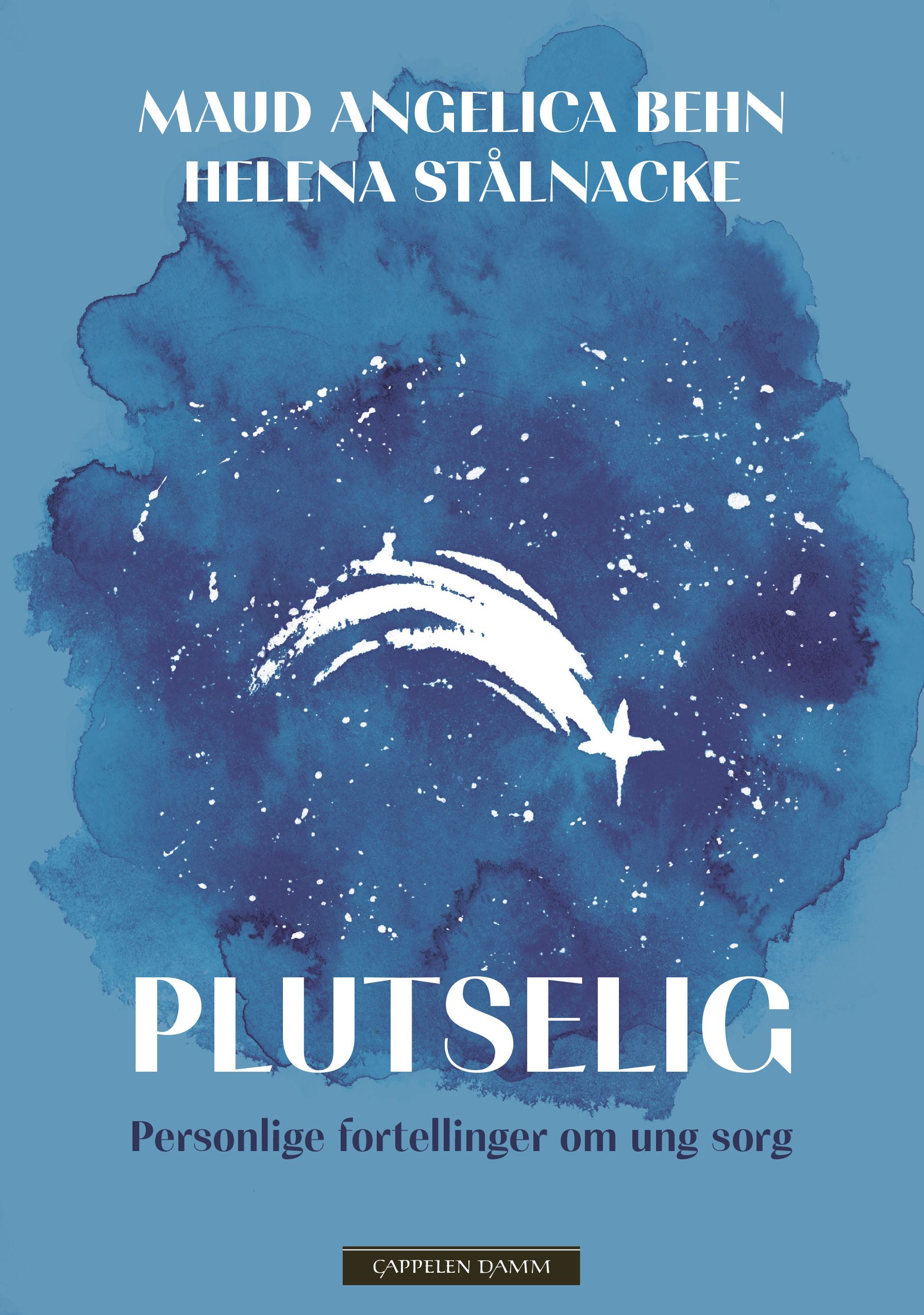 Plutselig - personlige fortellinger om ung sorg