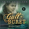 Øyenvitnet
