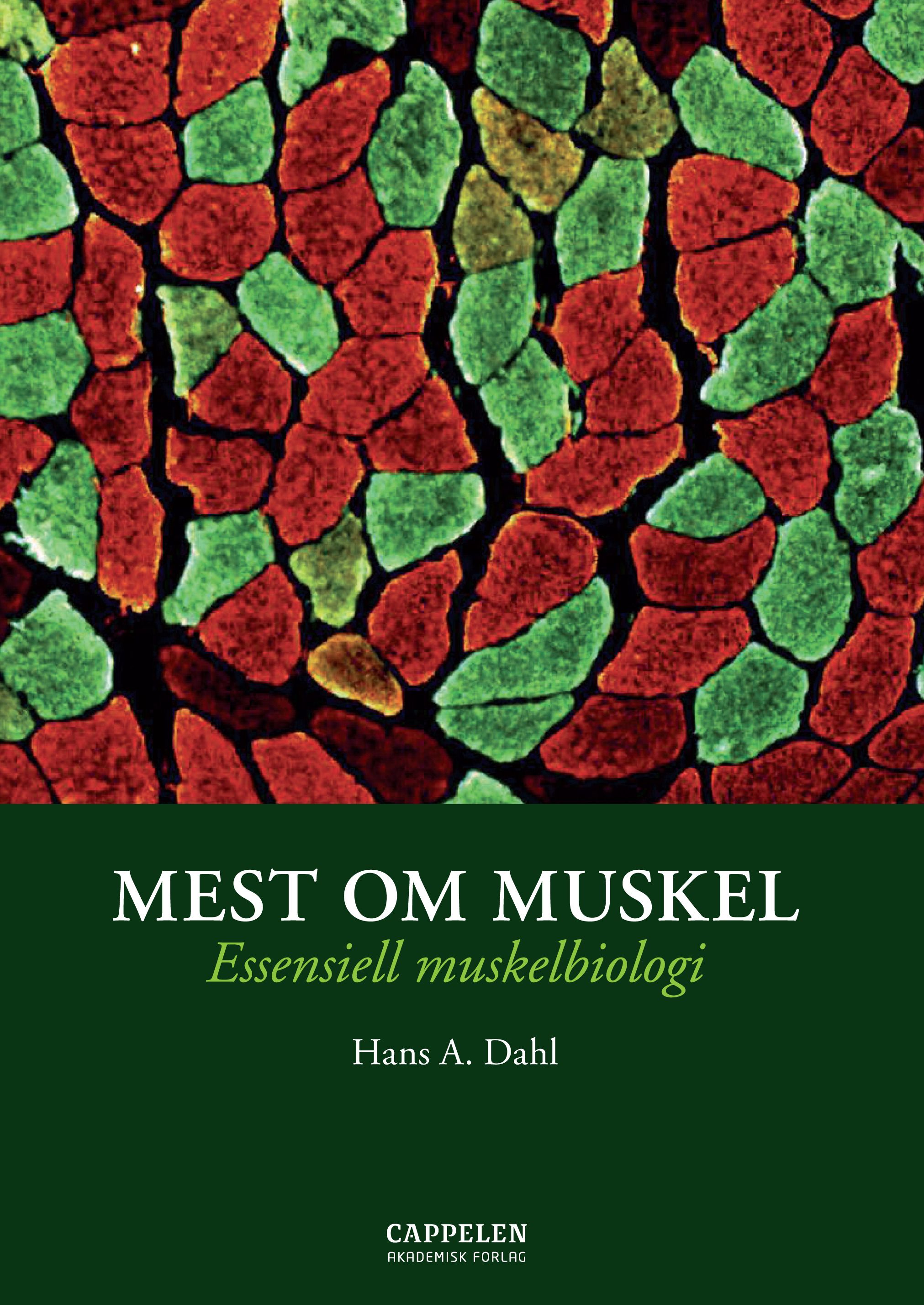 Mest om muskel - essensiell muskelbiologi