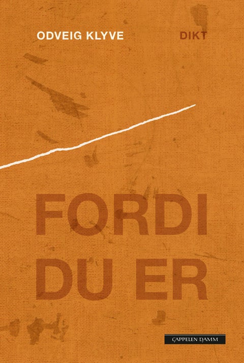 Fordi du er - dikt
