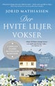 Der hvite liljer vokser