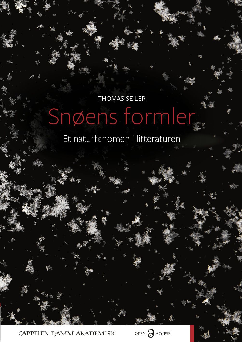 Snøens formler - et naturfenomen i litteraturen