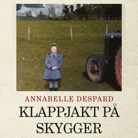 Klappjakt på skygger
