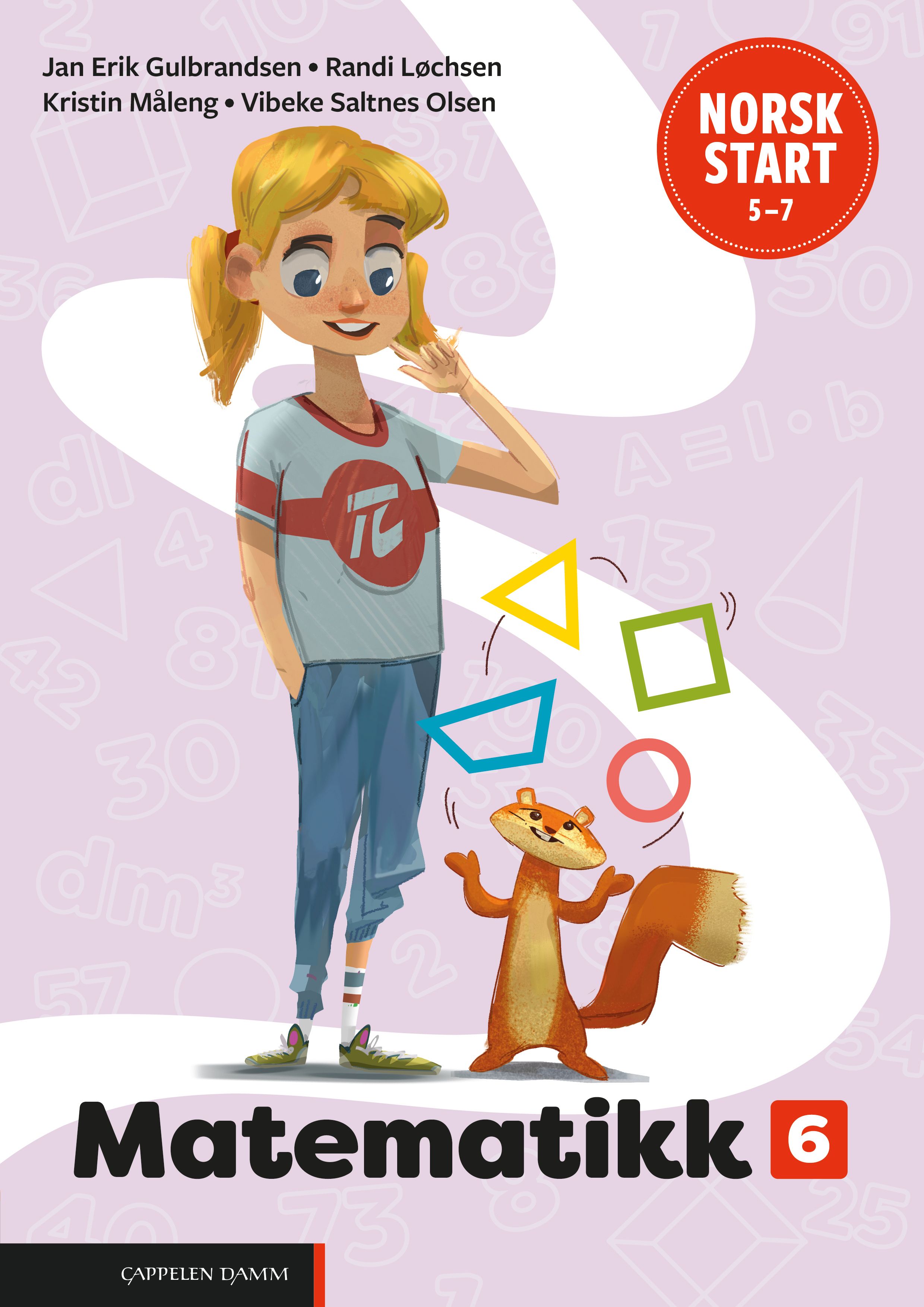 Norsk start 5¿7 - Matematikk 6