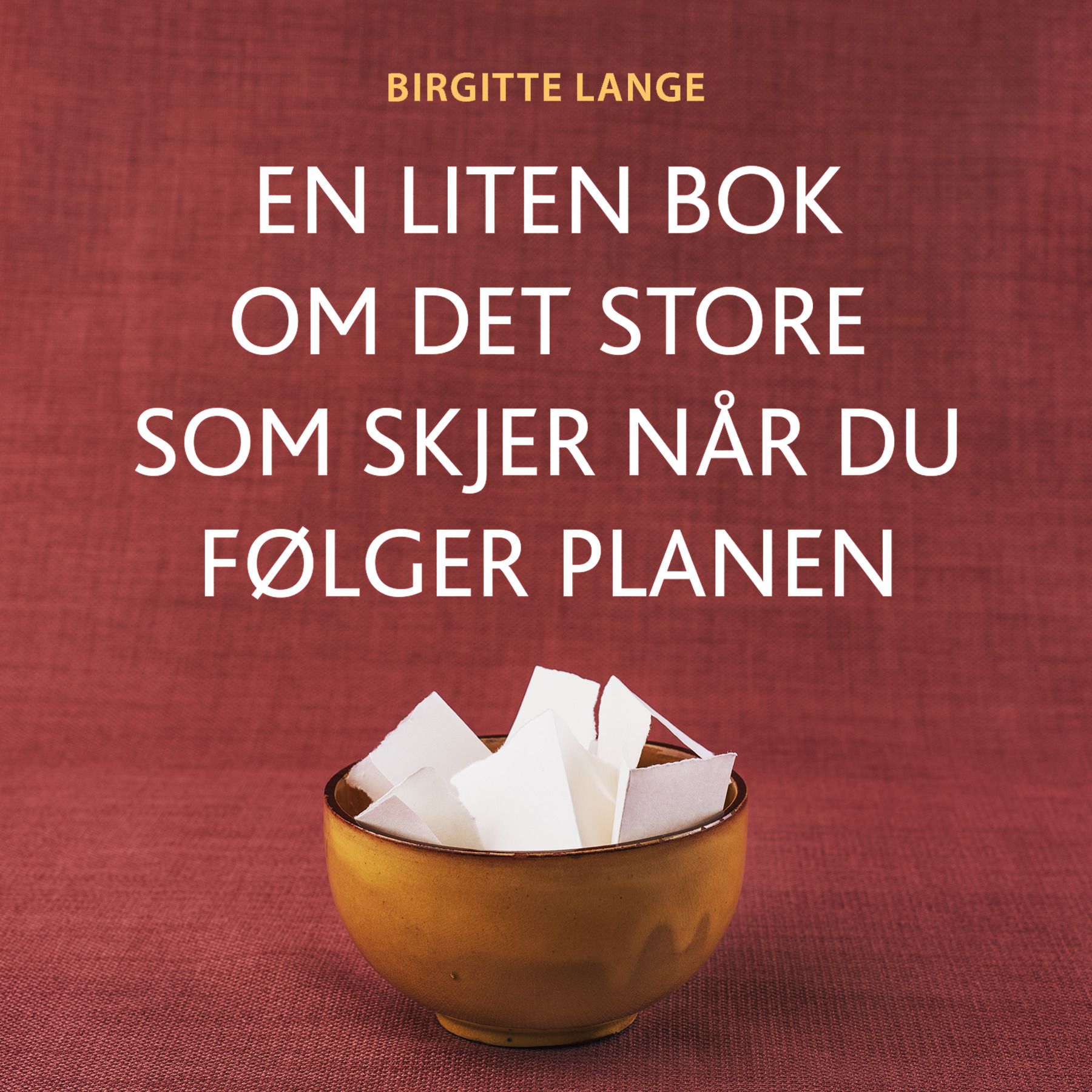 En liten bok om det store som skjer når du følger planen - varig endring, en oppgave hver uke, enkel, effektiv og morsom metode