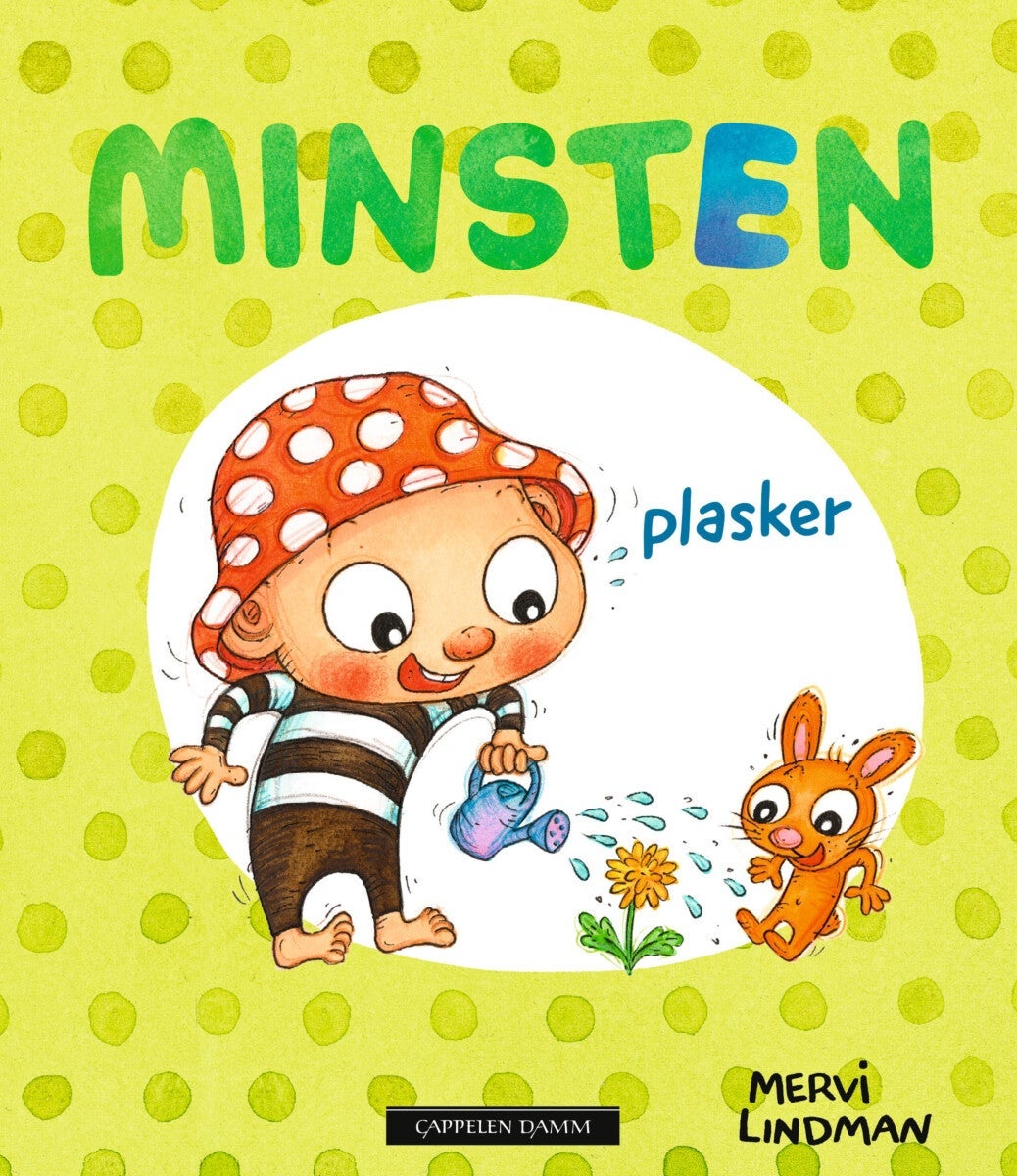 Minsten plasker