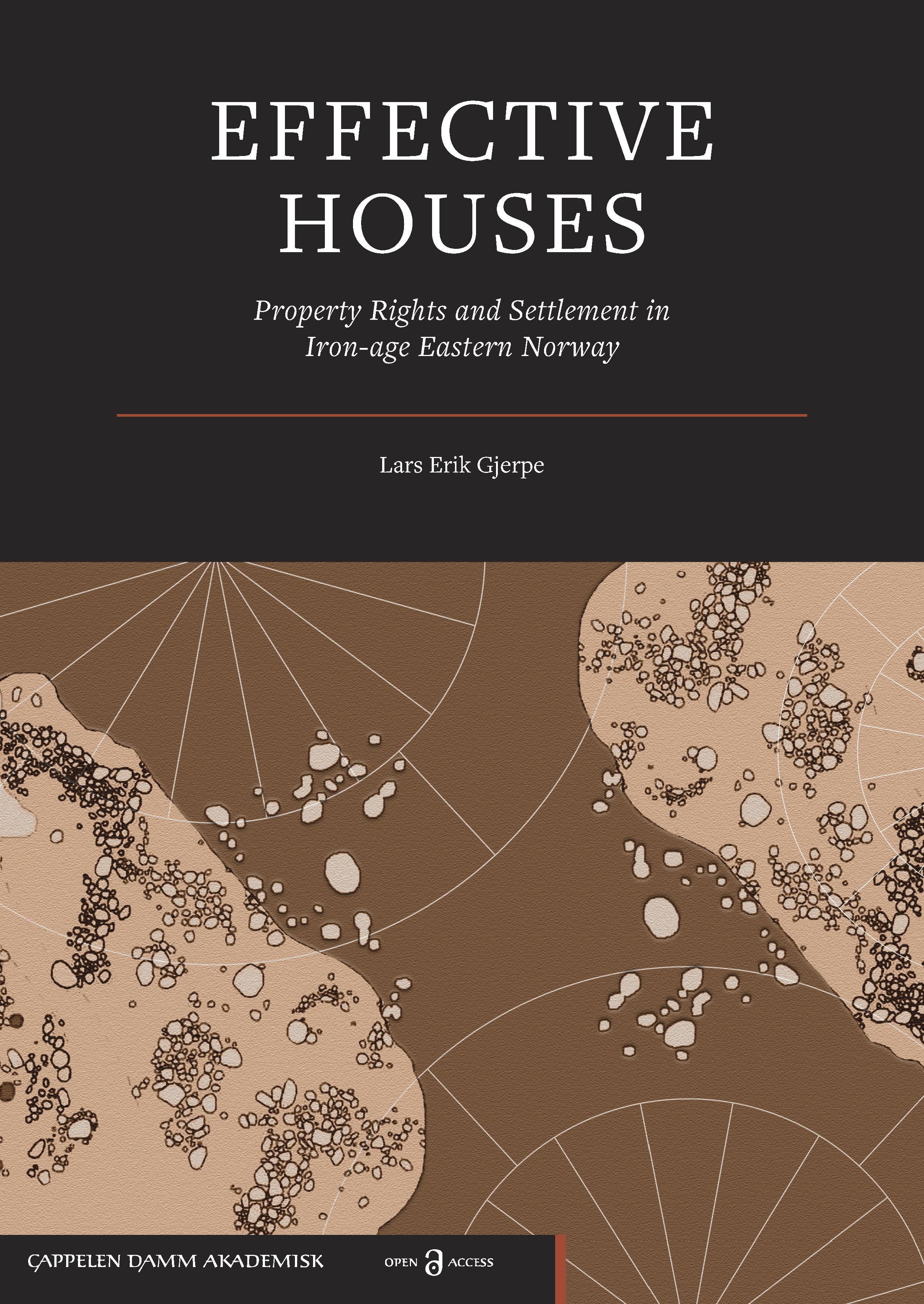 Effective houses - property rights and settlement in iron age Eastern Norway