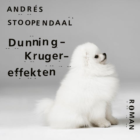 Dunning-Kruger-effekten