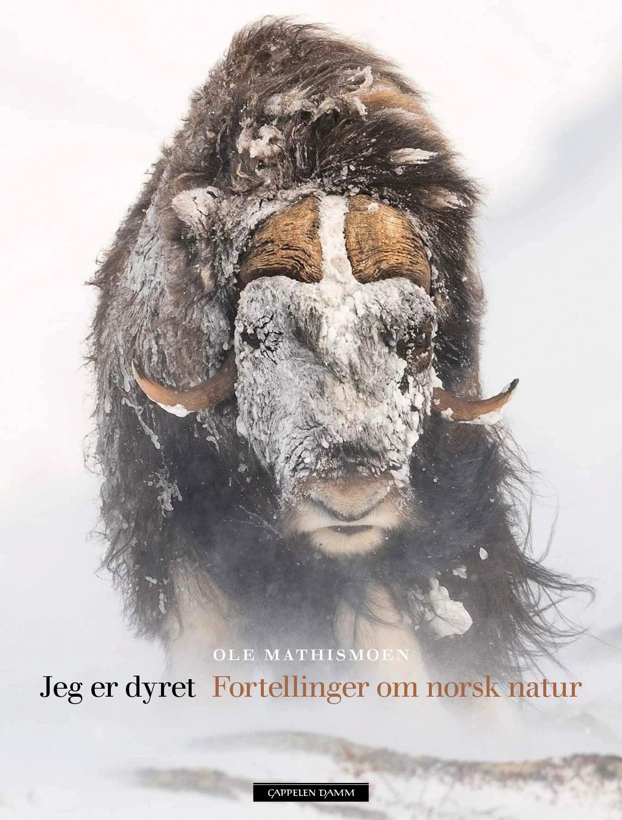 Jeg er dyret - fortellinger om norsk natur