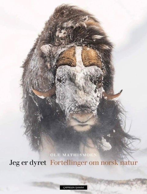 Jeg er dyret - fortellinger om norsk natur