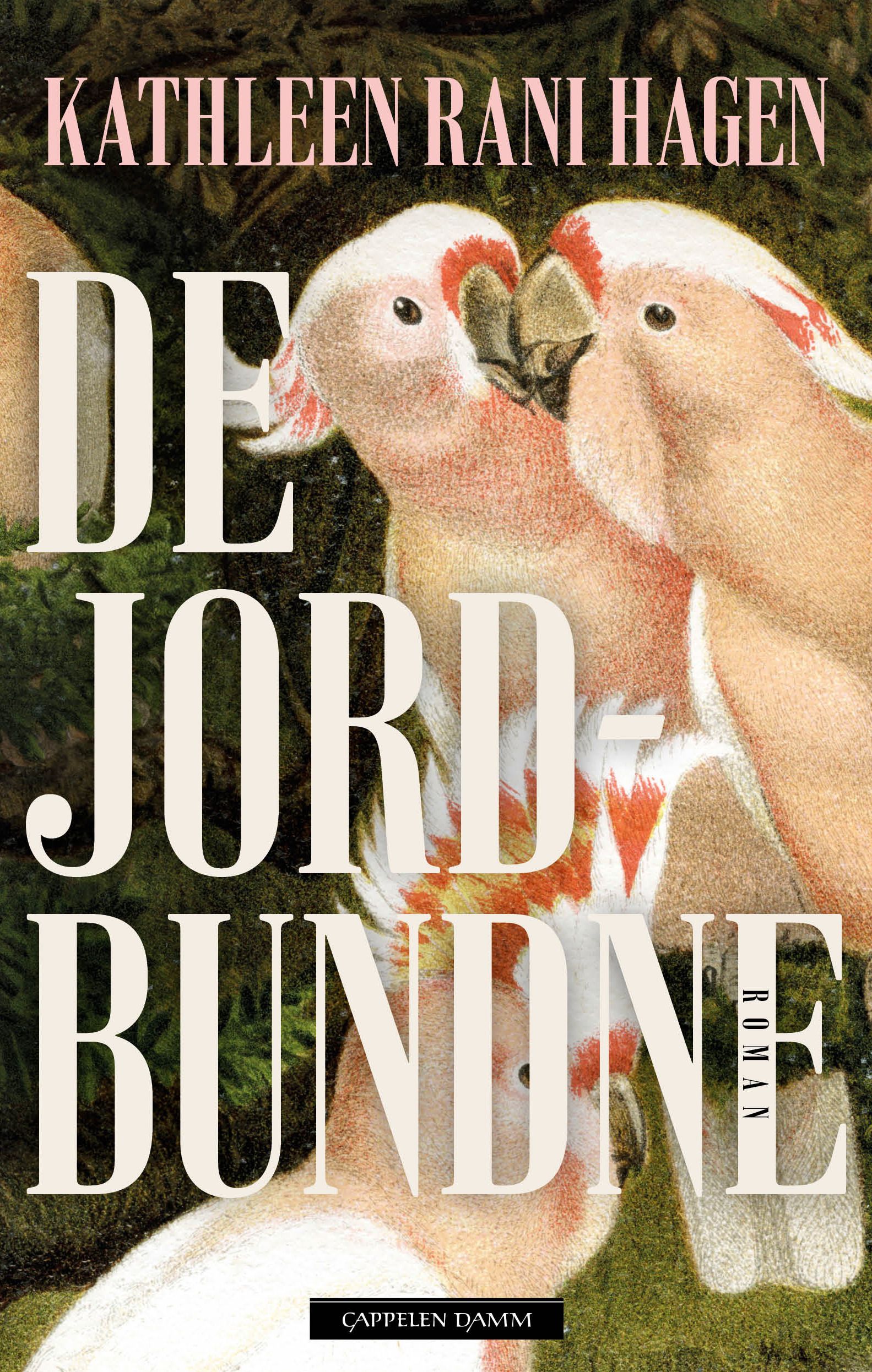 De jordbundne - roman