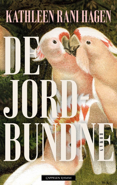 De jordbundne - roman