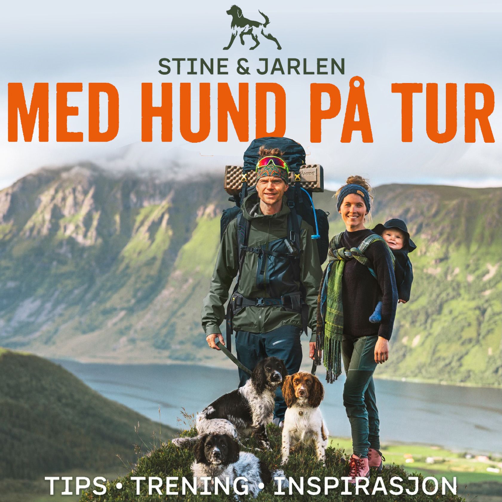 Med hund på tur - tips, trening, inspirasjon