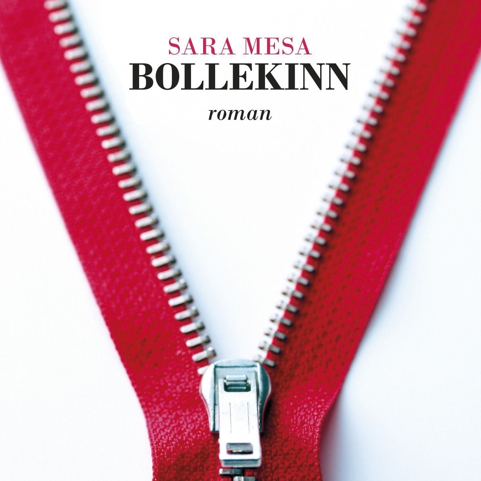 Bollekinn - roman