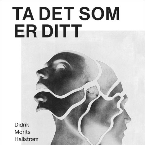 Ta det som er ditt - roman
