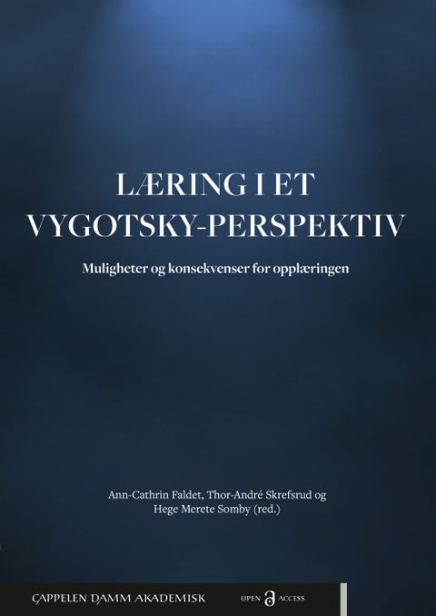Læring i et Vygotsky-perspektiv - muligheter og konsekvenser for opplæringen