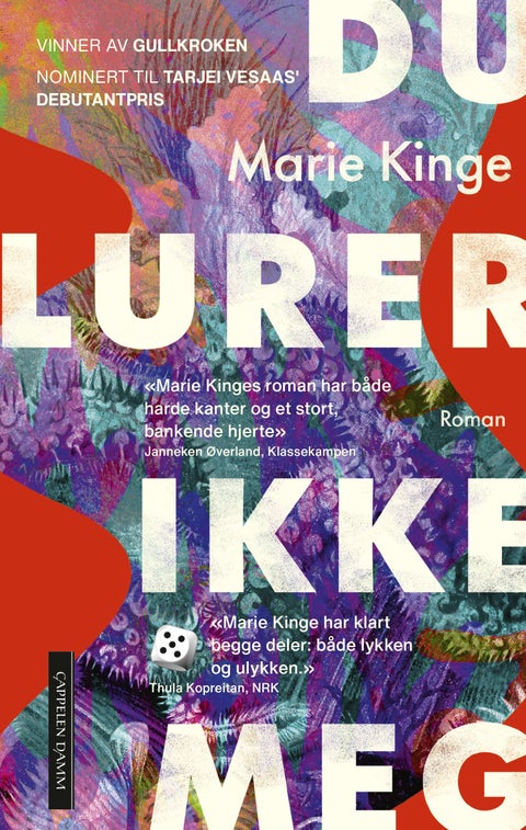 Du lurer ikke meg - roman