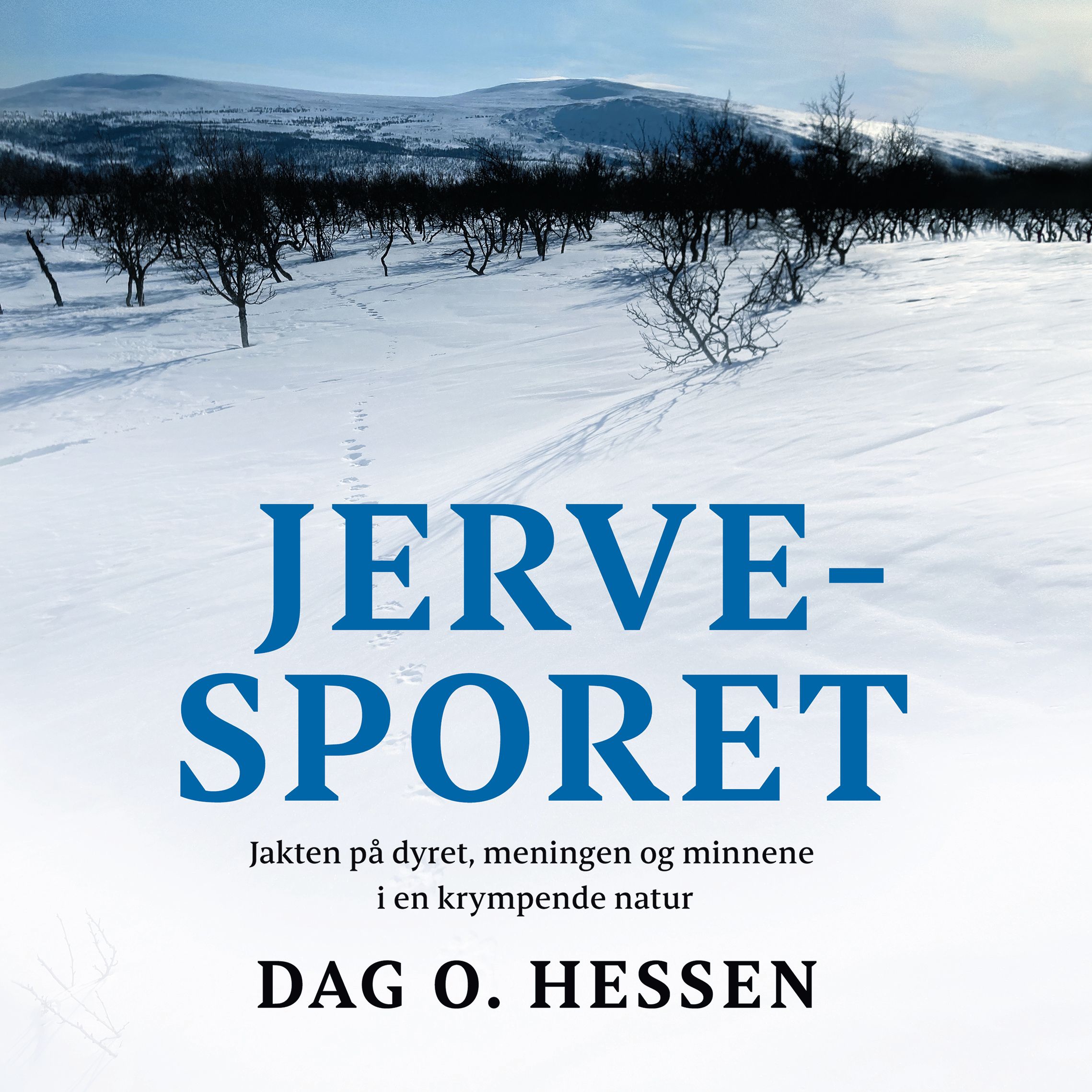 Jervesporet - jakten på dyret, meningen og minnene i en krympende natur