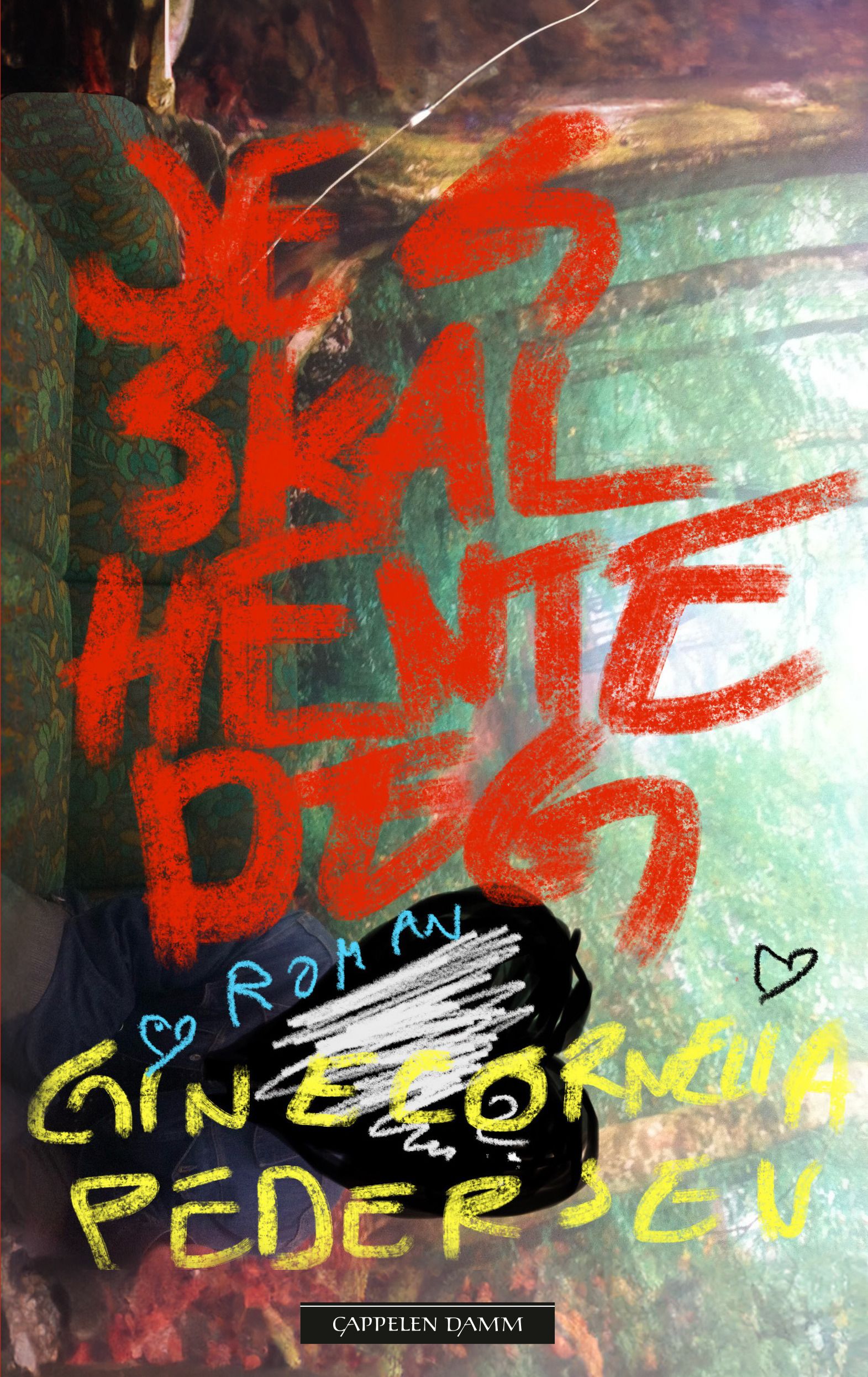 Jeg skal hente deg - roman