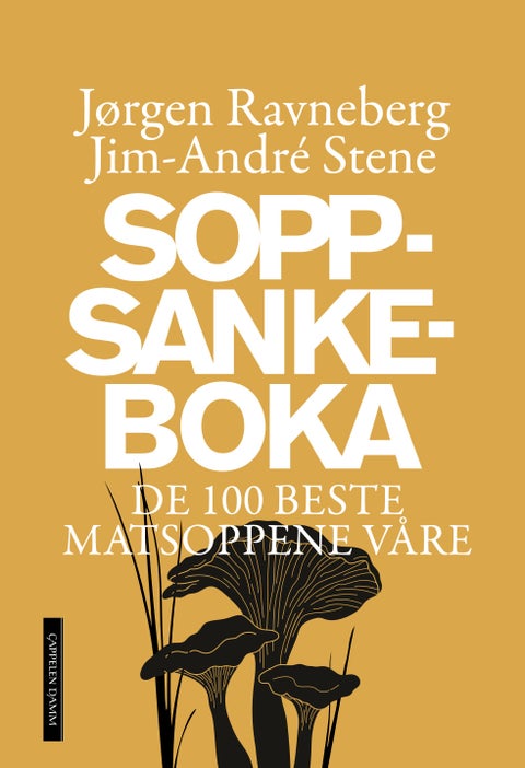 Soppsankeboka - de 100 beste matsoppene våre