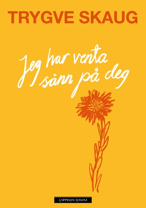 Jeg har venta sånn på deg - dikt