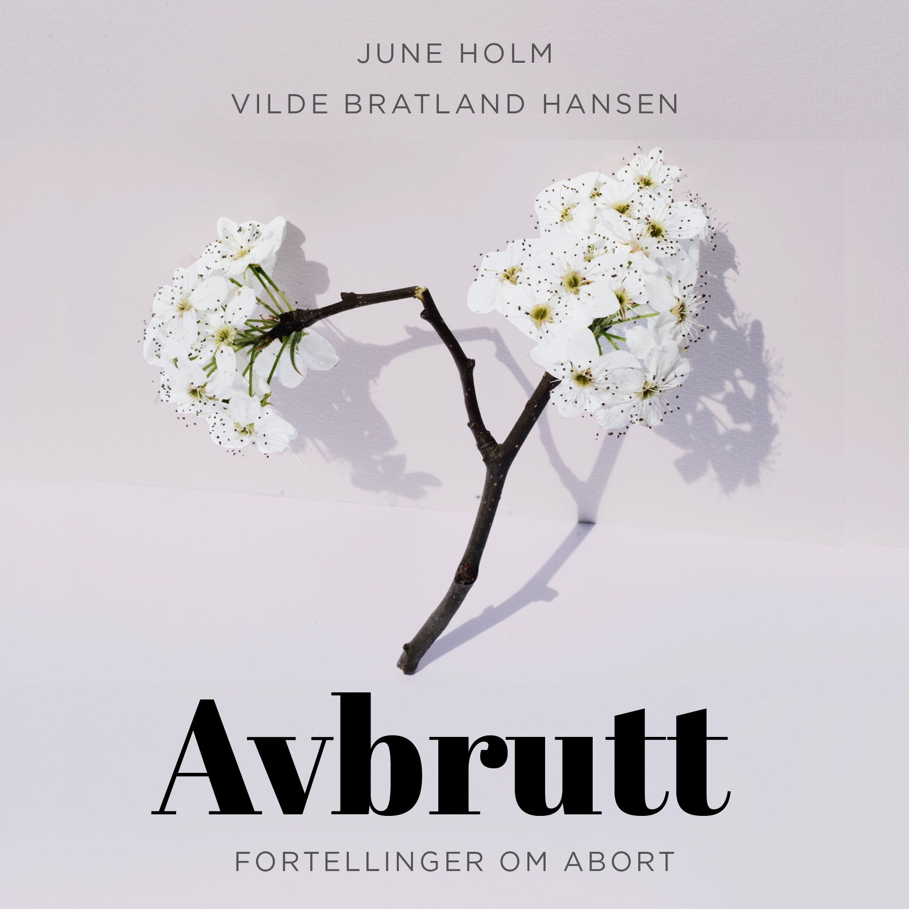 Avbrutt - fortellinger om abort