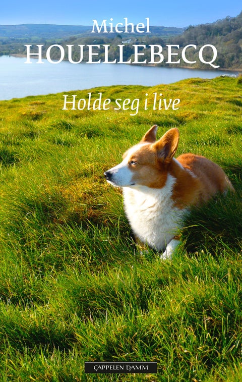 Holde seg i live