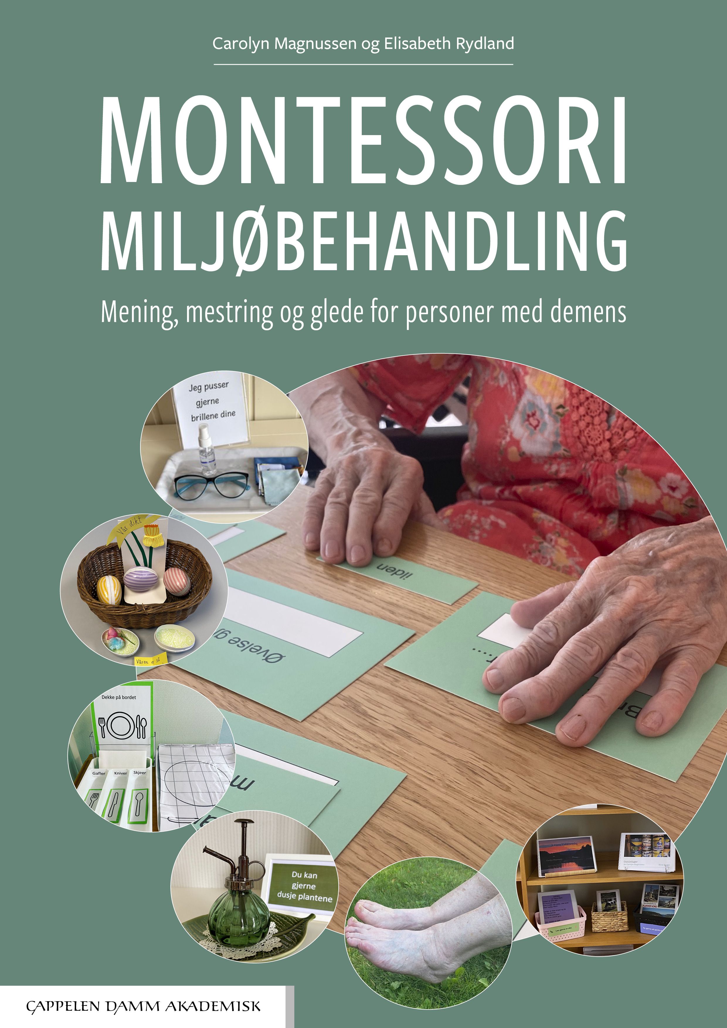 Montessori miljøbehandling - mening, mestring og glede for personer med demens