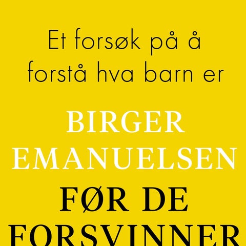 Før de forsvinner - et forsøk på å forstå hva barn er