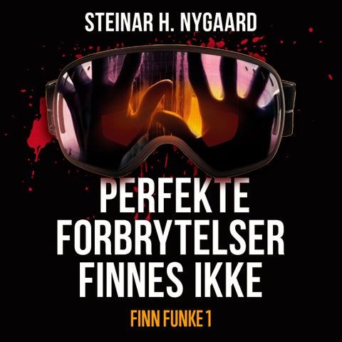 Perfekte forbrytelser finnes ikke