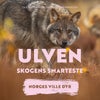Ulven