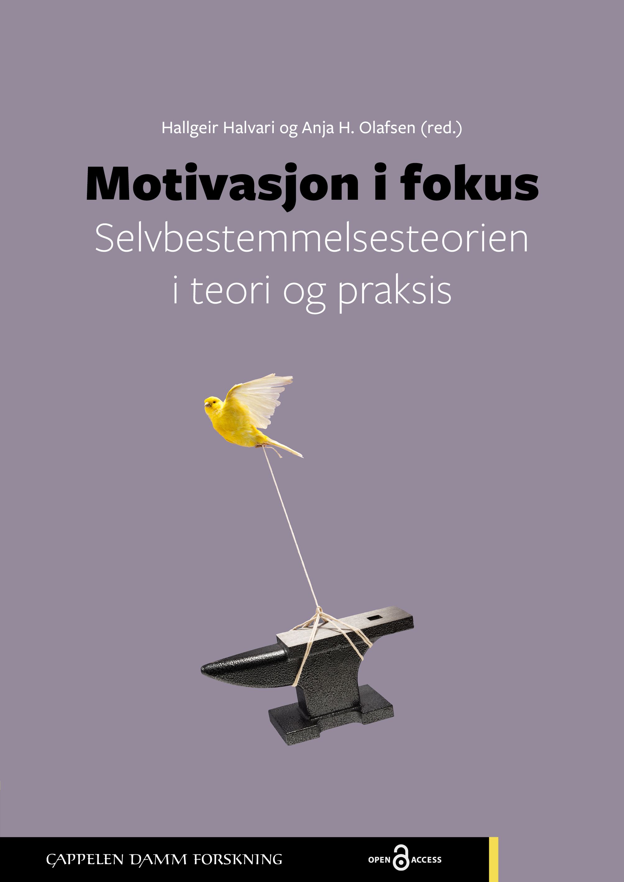 Motivasjon i fokus - selvbestemmelsesteorien i teori og praksis