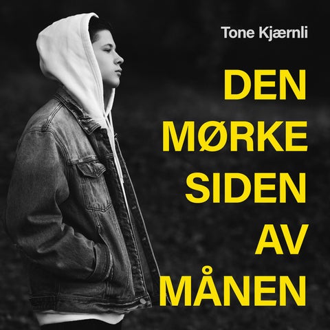 Den mørke siden av månen