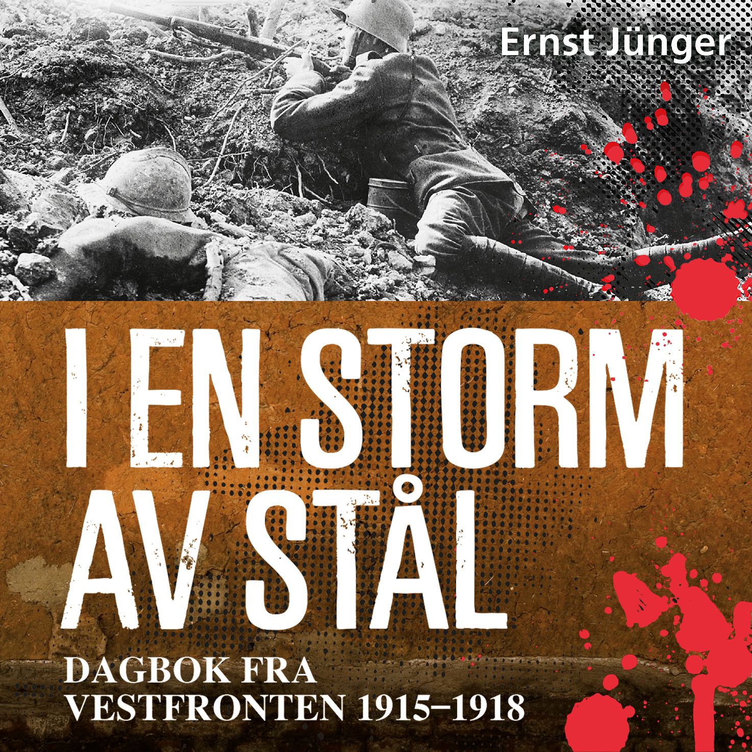 I en storm av stål - dagbok fra Vestfronten 1915 – 1918