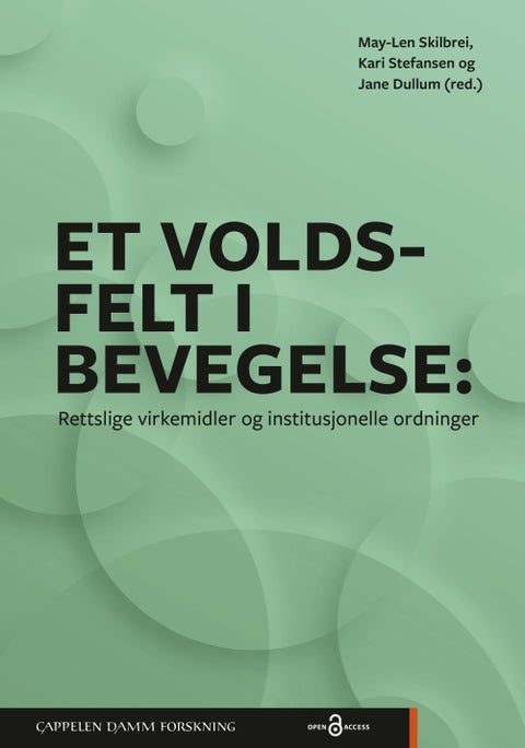 Et voldsfelt i bevegelse - rettslige virkemidler og institusjonelle ordninger