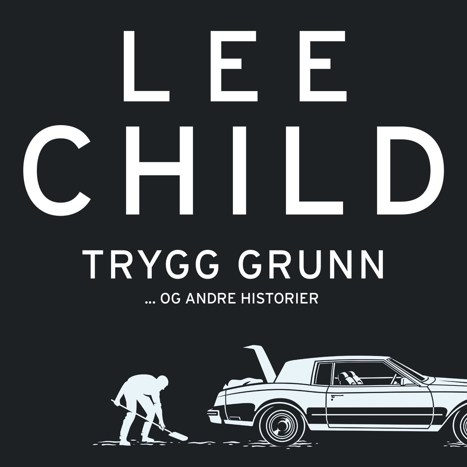 Trygg grunn - og andre historier