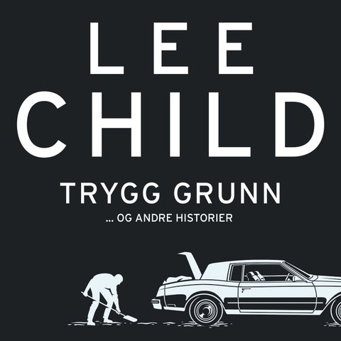 Trygg grunn - og andre historier