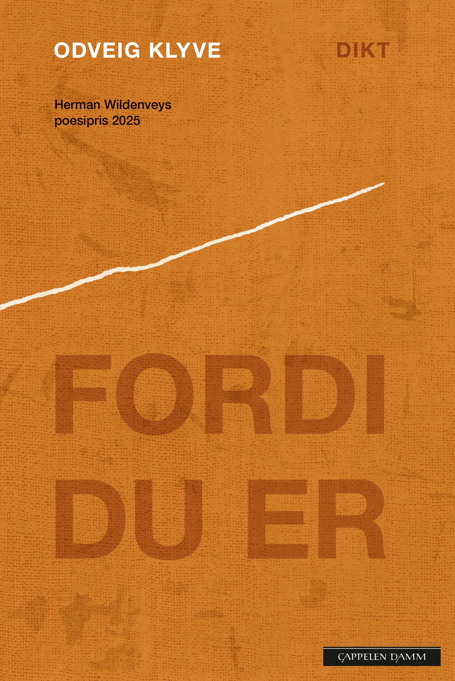 Fordi du er - dikt