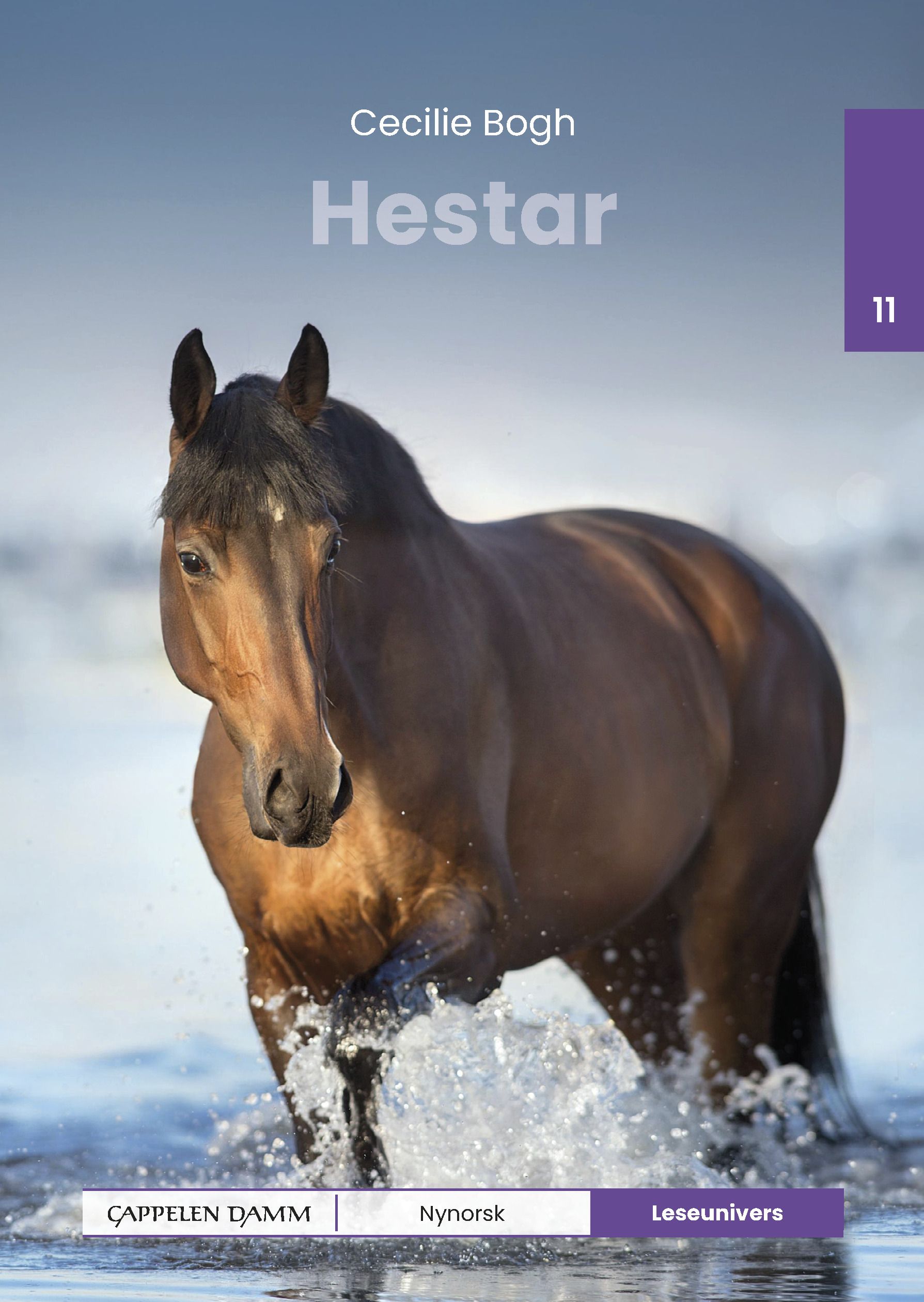 Hestar