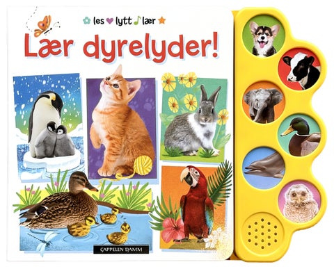 Lær dyrelyder!
