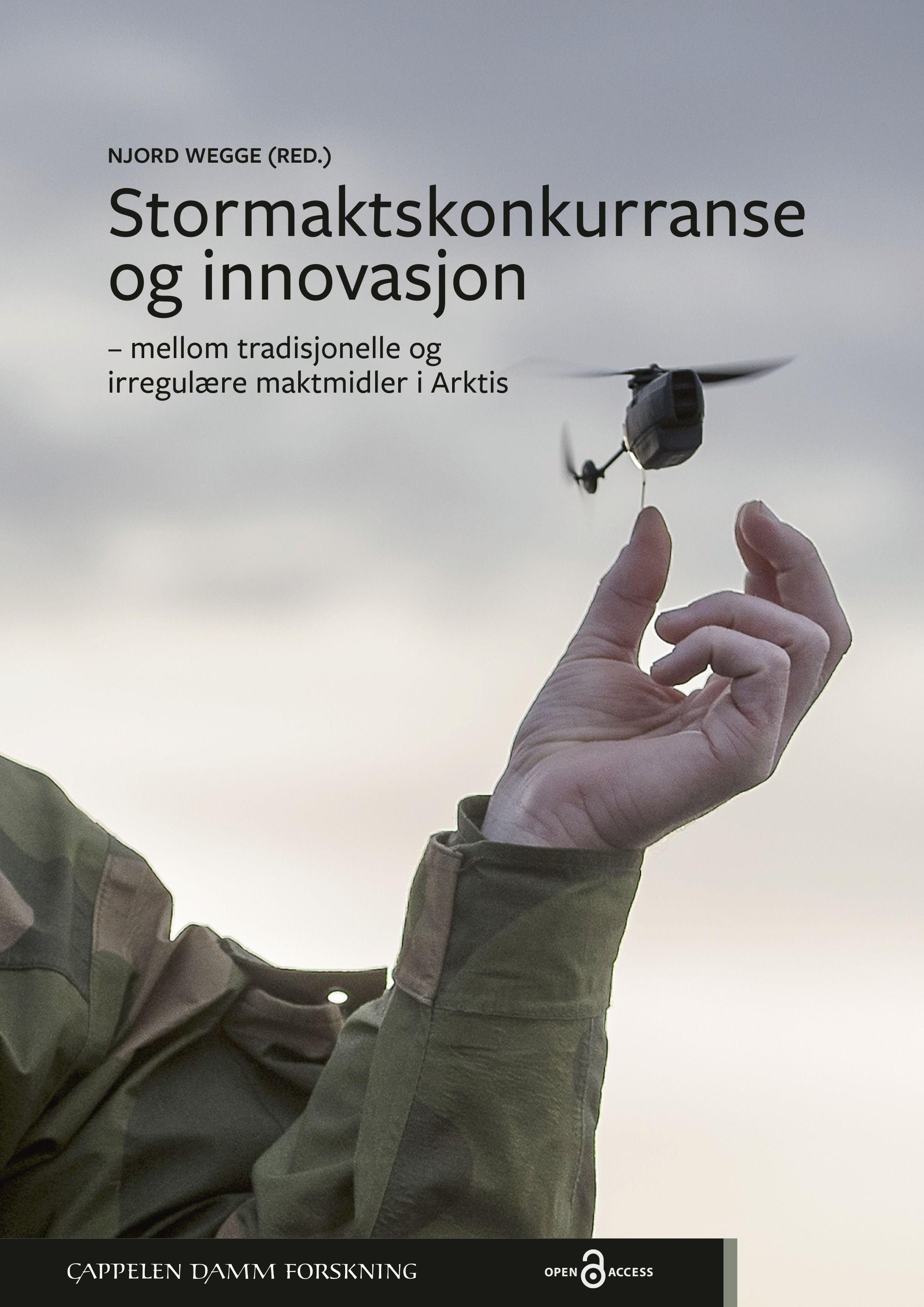 Stormaktskonkurranse og innovasjon - mellom tradisjonelle og irregulære maktmidler i Arktis