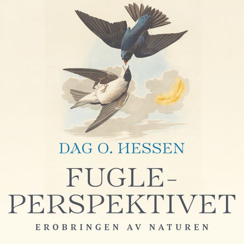 Fugleperspektivet - erobringen av naturen