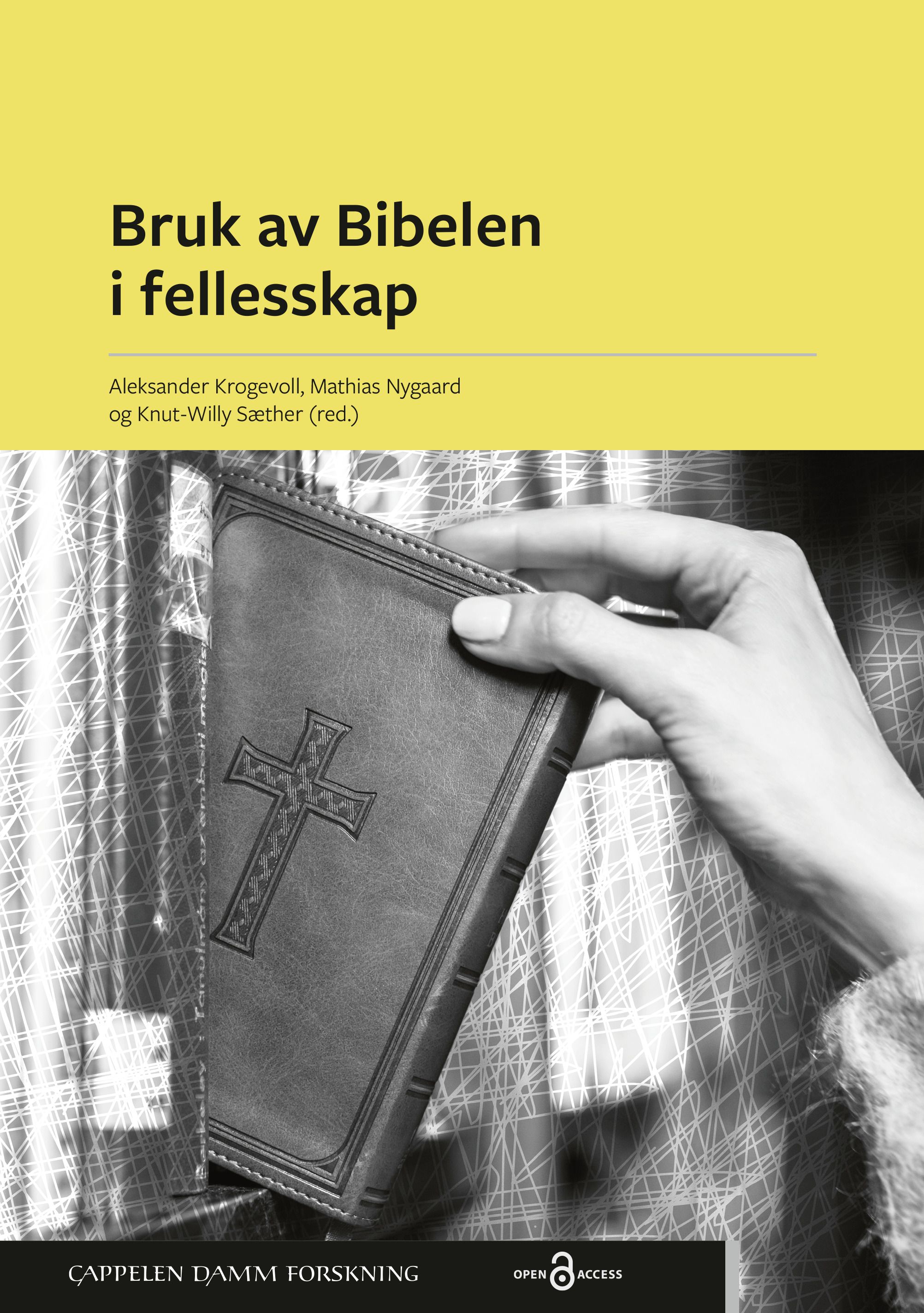 Bruken av Bibelen i fellesskap