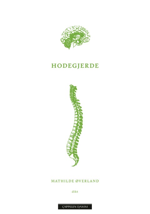 Hodegjerde