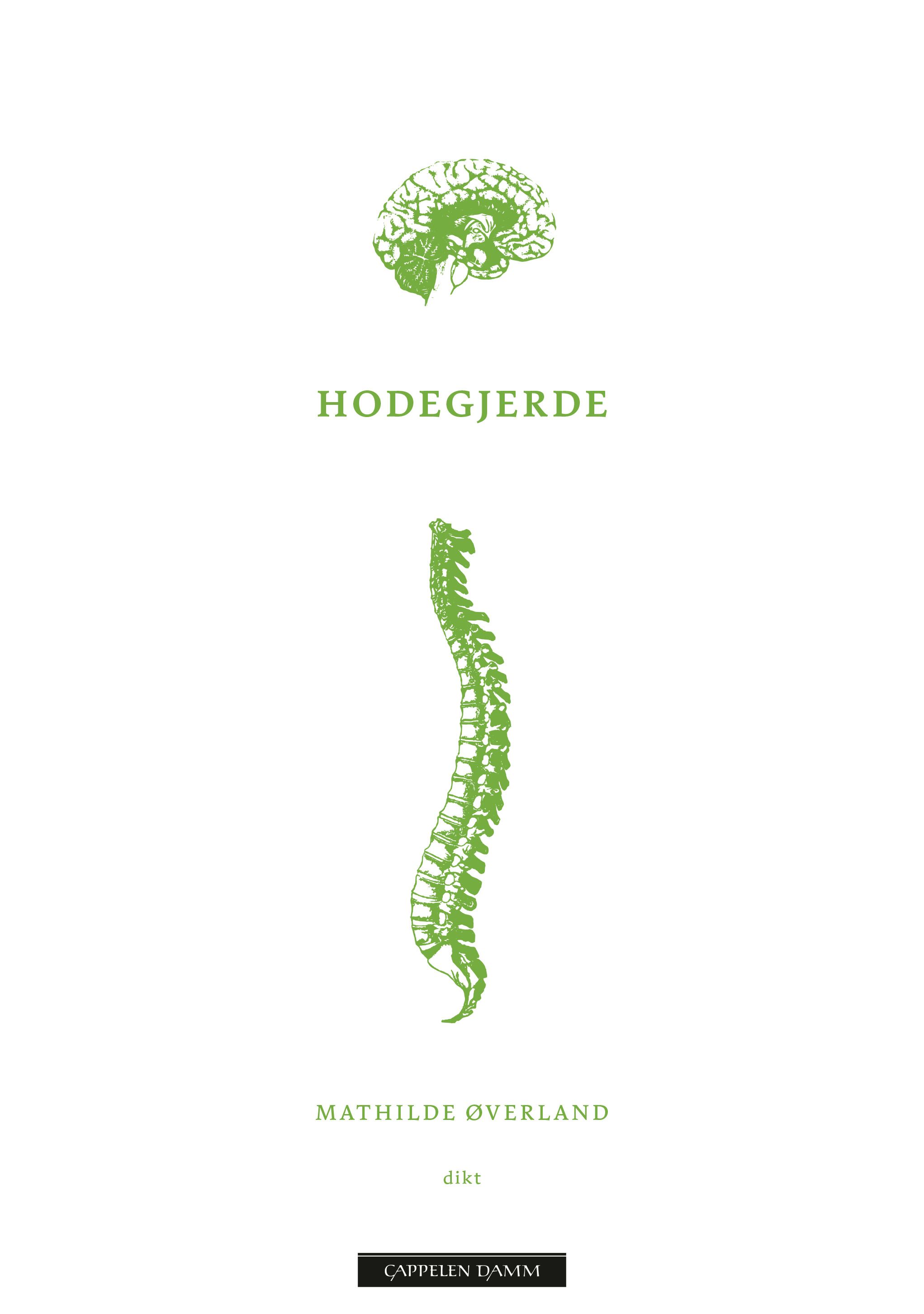 Hodegjerde