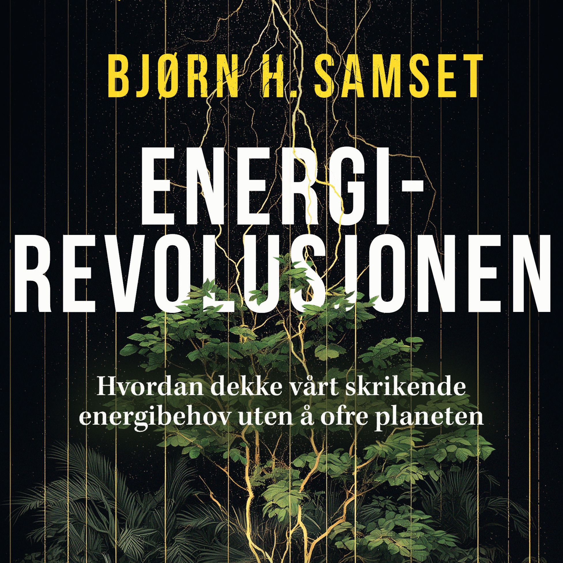 Energirevolusjonen